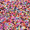 Baking Paint Glass Seed Beads SEED-S042-05B-48-3
