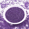 MIYUKI Round Rocailles Beads SEED-G007-RR1345-2