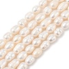 Natural Cultured Freshwater Pearl Beads Strands PEAR-I007-01D-04A-2