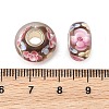 Lampwork & Brass Core European Beads LAMP-P019-01P-15-3