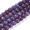 Natural Lepidolite/Purple Mica Stone Beads Strands G-D0020-15-6mm-1