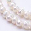 Natural Cultured Freshwater Pearl Beads Strands PEAR-F004-12-3