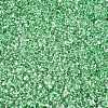 6/0 Baking Paint Transparent Fringe Glass Seed Beads X1-SEED-N006-06K-3