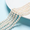 Natural Cultured Freshwater Pearl Beads Strands A02S7013-1