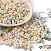 Baking Paint Glass Seed Beads SEED-F006-01A-11-1