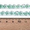 Crackle Transparent Glass Beads Strands GLAA-N068-02A-04-5