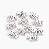 Tibetan Style Alloy Pendants LS-EA9098Y-2