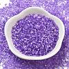Imitation Cat Eyes Glass Seed Beads X1-SEED-H003-03F-2