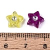 Plastic Star Beads KY-Q002-08-4