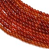 Natural Carnelian Beads Strands G-Z116-A22-2mm-4