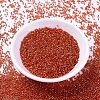 MIYUKI Delica Beads SEED-X0054-DB2158-2
