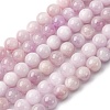 Natural Kunzite Beads Strands G-H313-01D-8mm-2