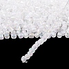 6/0 Glass Seed Beads X1-SEED-A007-4mm-161-4
