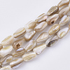 Freshwater Shell Beads Strands SHEL-S276-33-1