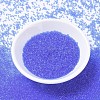 MIYUKI Delica Beads X-SEED-J020-DB1110-2