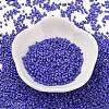 Baking Paint Glass Seed Beads SEED-S042-05B-74-2