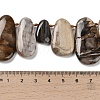 Natural Petrified Wood Beads Strands G-C253-06-5