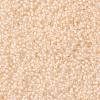 MIYUKI Round Rocailles Beads X-SEED-G008-RR2217-3