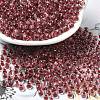 Transparent Glass Round Seed Beads SEED-B001-05A-21-1