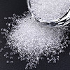 15/0 Transparent Czech Glass Seed Beads SEED-N004-004-24-1
