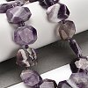 Natural Amethyst Beads Strands G-H078-B04-01-2