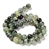 Natural Prehnite Beads Strands X-G-P322-48-10mm-01-3