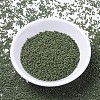 MIYUKI Delica Beads X-SEED-J020-DB1135-2