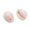 Natural Cowrie Shell Beads BSHE-X0006-01-3
