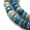 Natural Dolomite Beads Strands G-K350-A01-01A-4