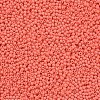 11/0 FGB Grade A Baking Paint Glass Seed Beads X-SEED-N001-A-1005-2