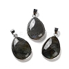 Natural Labradorite Pendants G-B123-05P-03-1