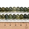 Dyed Imitation Gemstone Glass Beads Strands GL-Z001-03B-5