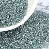 MIYUKI Round Rocailles Beads SEED-X0056-RR3532-1