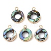 Natural Paua Shell Pendants SHEL-P017-18G-1