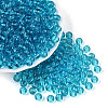 FGB Transparent Glass Seed Beads SEED-N013-01B-07-1