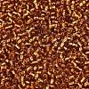 8/0 Glass Seed Beads SEED-A005-3mm-22C-3