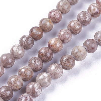Natural Maifanite/Maifan Stone Beads Strands G-L500-03A-6mm-1