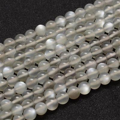 Natural Grey Moonstone Beads Strands G-F306-07-6mm-1