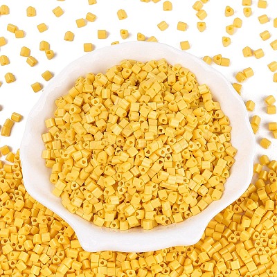 FGB Baking Paint Glass Seed Beads SEED-Q040-09A-09-1