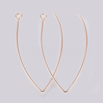 Ion Plating(IP) 304 Stainless Steel Earring Hooks X-STAS-K184-05-01RG-1