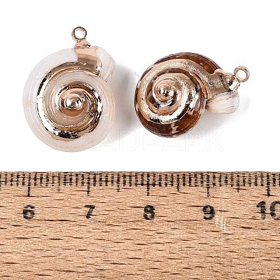Electroplate Natural Spiral Shell Pendants SSHEL-Q100-34G-1