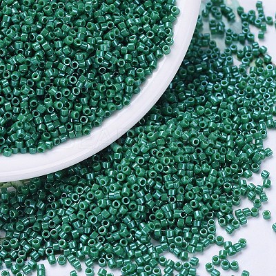 MIYUKI Delica Beads SEED-J020-DB0656-1