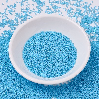 MIYUKI Delica Beads SEED-J020-DB0725-1