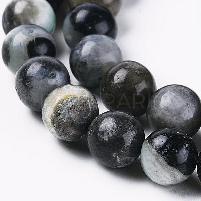 Natural Flower Amazonite Beads Strands G-L555-03-6mm-1
