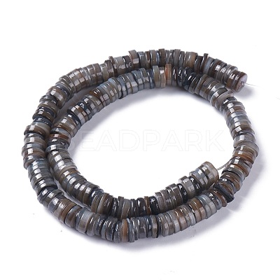 Natural Freshwater Shell Beads Strands X-BSHE-I016-04A-1