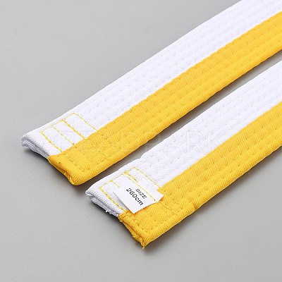 Taekwondo Belt AJEW-WH20022-73C-04-1