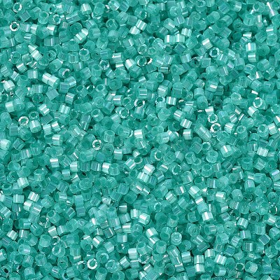 MIYUKI Delica Beads X-SEED-J020-DB1869-1