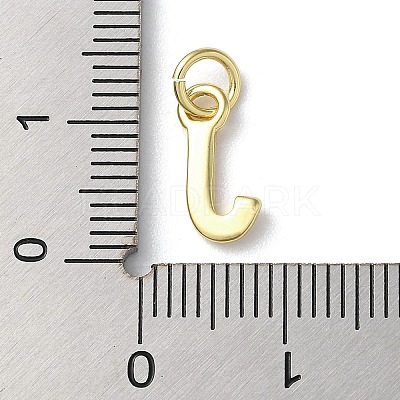 Rack Plating Brass Charms KK-P245-06G-J-1