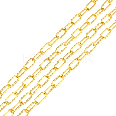 Unwelded Iron Paperclip Chains CH-FS0001-01G-1