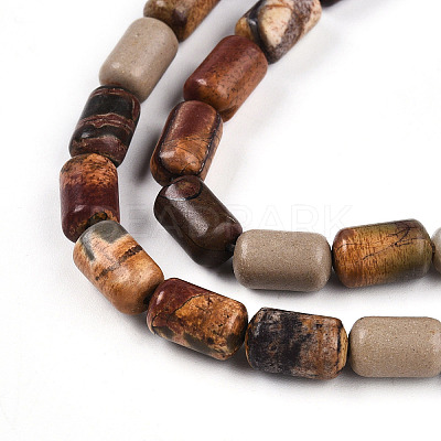 Natural Picasso Jasper/Polychrome Jasper Beads Strands G-N346-01B-05-1